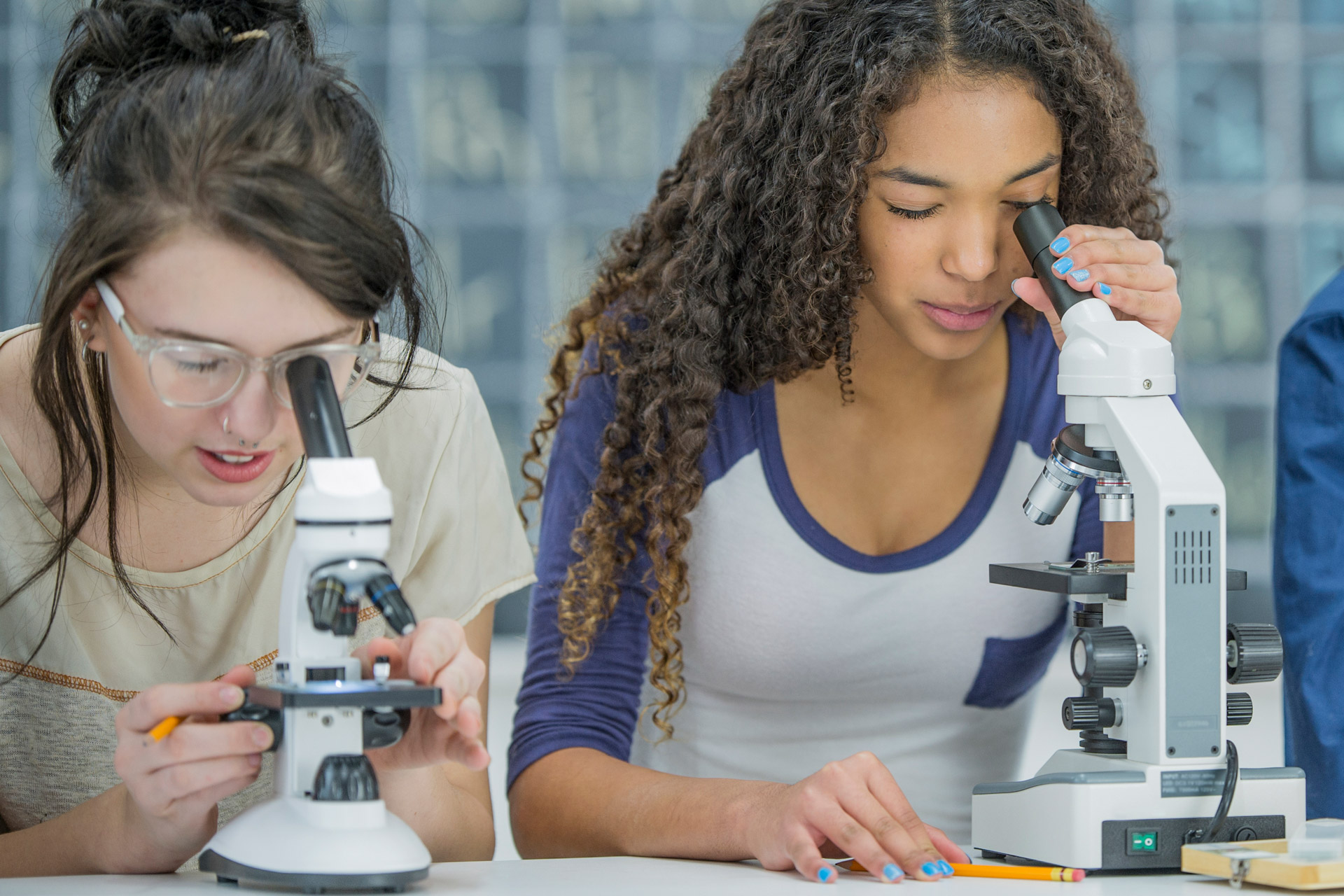 iStock-642525068 La experiencia de estudiar en Estados Unidos